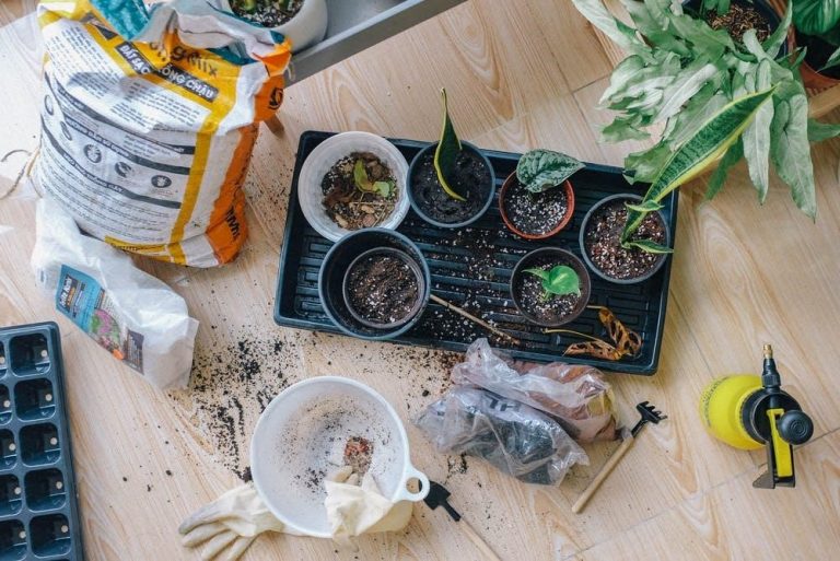 Indoor gardening for the winter