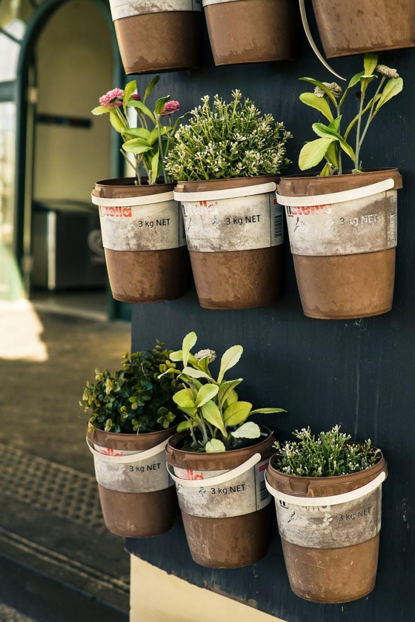 indoor garden